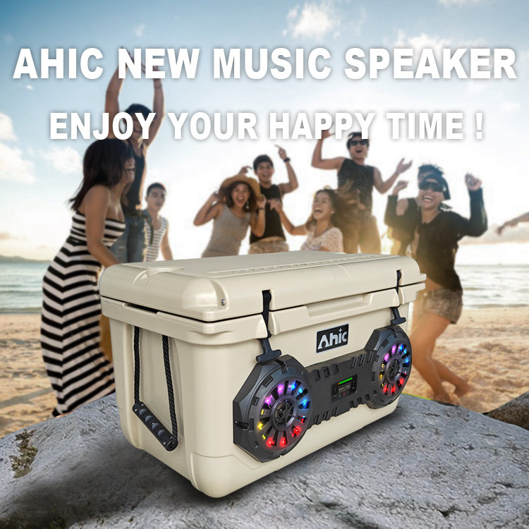 Caixa Térmica Portátil Rotomol - Speakers avaliação e preço