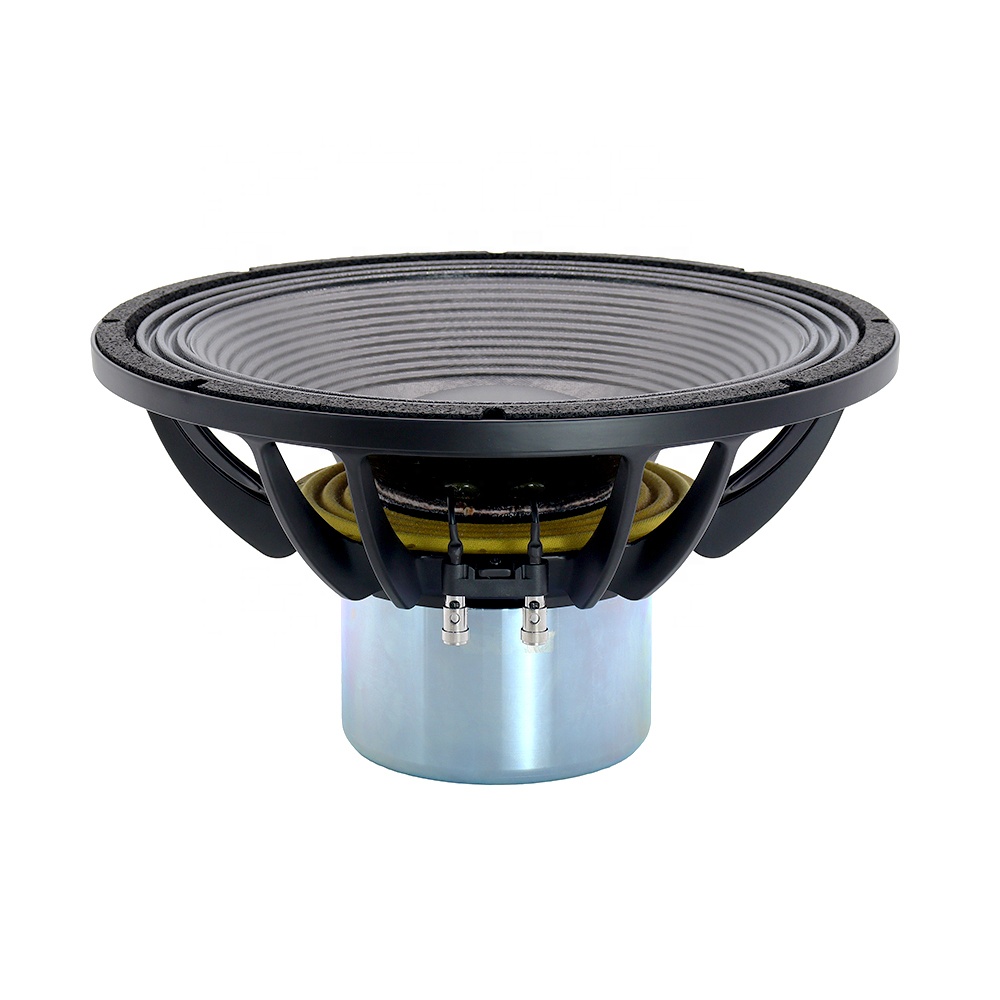 Novo Alto-Falante Profissional - Speakers avaliação e preço