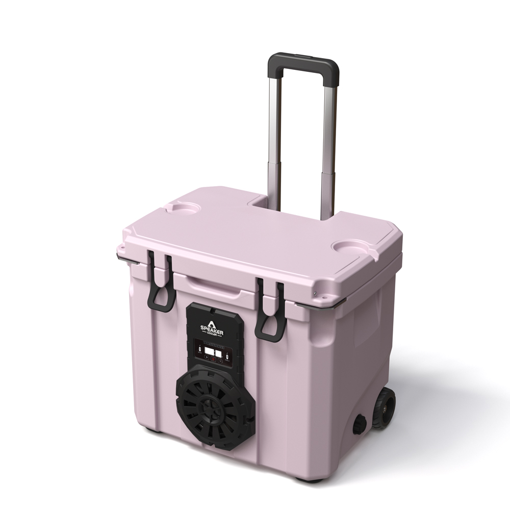 Cooler Portátil Isolado à Prov - Speakers avaliação e preço